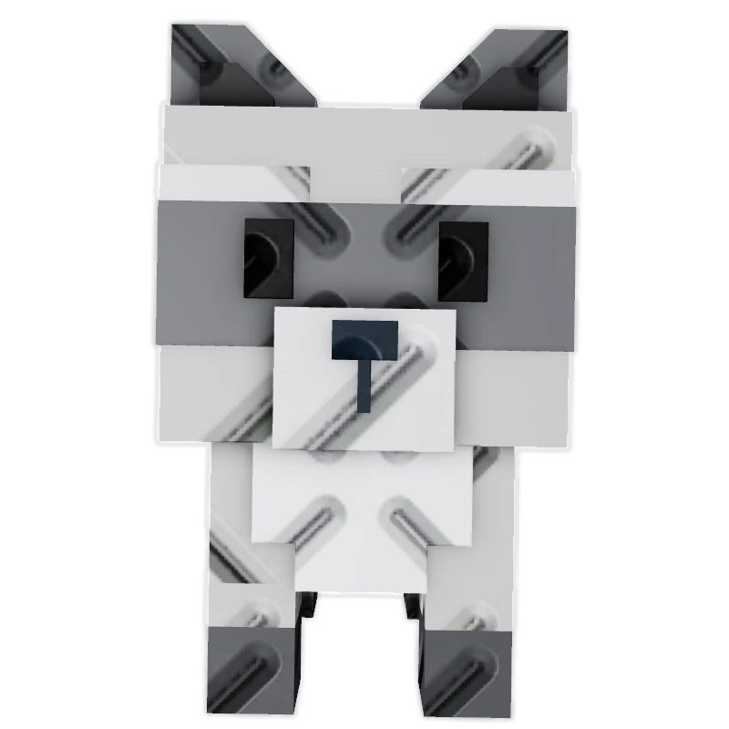 X1 PET RACCOON